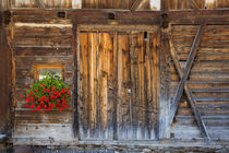 Rustic Barn Door and flowers, Santa Maddalena, Val di Funes,... von Danita Delimont