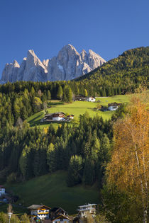 View of the Geisler Spitzen and Dolomite Mountains from San ... by Danita Delimont