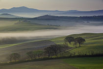 Misty dawn over the Tuscan countryside near San Quirico d'Or... by Danita Delimont