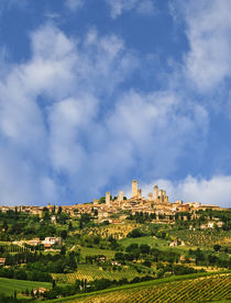 vineyards and the hilltop town of San Gimignano in Tuscany, ... von Danita Delimont