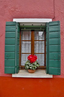 Shuttered windows Burano, Italy von Danita Delimont