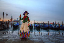 Venice, Italy by Danita Delimont