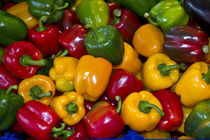 Peppers in Fish and Vegetable Market Venice, Italy von Danita Delimont