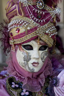 Venice at Carnival Time von Danita Delimont