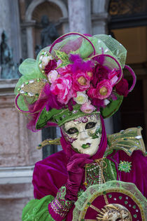 Venice at Carnival Time by Danita Delimont