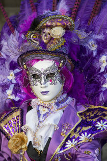 Venice at Carnival Time by Danita Delimont
