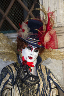 Venice at Carnival Time von Danita Delimont
