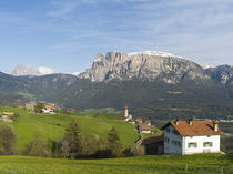 view towards the Seiser alm, South Tyrol, Italy by Danita Delimont