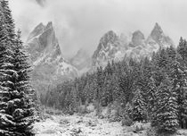 Tschamin Valley after snowstorm, Dolomites, Italy by Danita Delimont