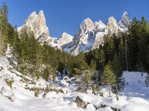 The Tschamin Valley in winter, Dolomites, Italy by Danita Delimont