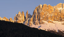 Rosengarten or Catinaccio range in the dolomites, Italy von Danita Delimont