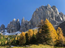 Dolomites, Rosengarten or Catinaccio Mountain Range in South... by Danita Delimont
