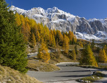 Groedner Joch mountain road, Italy by Danita Delimont