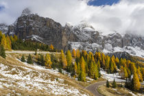 Groedner Joch mountain road, Italy by Danita Delimont