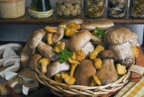 Penny bun, cap, chanterelles, mushrooms by Danita Delimont
