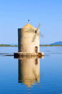 The Spanish Windmill on the lagoon of Orbetello, Orbetello, ... by Danita Delimont
