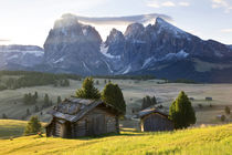 Mountain cabins, South Tyrol, Bolzano district, Alpe di Siusi, S by Danita Delimont