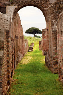 Ancient Roman Arch Walls Street Ostia Antica Rome Italy von Danita Delimont
