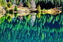 Green Trees Gold Lake Reflection Snoqualme Pass Washington von Danita Delimont