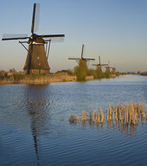 Kinderdijk Windmills, Holland by Danita Delimont