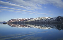Arctic, Svalbard, Spitsbergen, Liefdefjord, scenic polar lan... by Danita Delimont