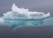 Arctic Ocean, Norway, Svalbard by Danita Delimont