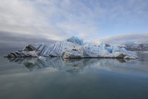 Europe, Norway, Svalbard by Danita Delimont