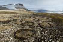 Norway, Svalbard, Nordaustlandet, Palanderbukta Zeipelodden von Danita Delimont