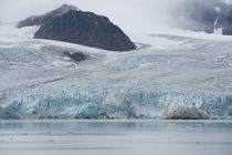 Norway, Barents Sea, Svalbard, Spitsbergen, Lilliehook Glacier von Danita Delimont