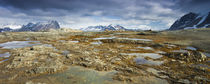 Arctic, Svalbard, Hornsund von Danita Delimont