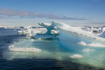 Svalbard. Drift ice. von Danita Delimont