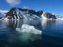 Svalbard. Hornsund. Iceberg in clear water. by Danita Delimont