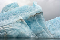 Svalbard. Spitsbergen. Hornsund. Brepollen. Icebergs with te... by Danita Delimont