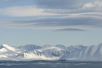 Norway, Svalbard Archipelago, Spitsbergen, Woodfjorden von Danita Delimont