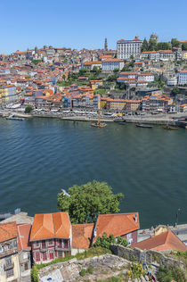 Europe, Portugal, Oporto, Douro River by Danita Delimont