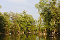 Channels and lakes in the Danube Delta, Romania von Danita Delimont