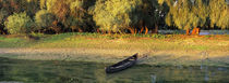 The channels of the Danube Delta, romania by Danita Delimont