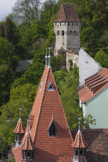 Romania, Transylvania, Sighisoara, Goldsmiths Tower von Danita Delimont