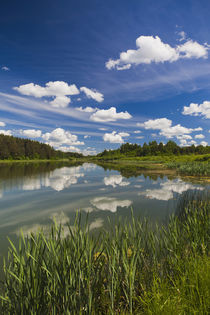 Russia, Pskovskaya Oblast, Pushkinskie Gory, lake at Mikhail... by Danita Delimont