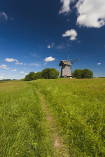 Russia, Pskovskaya Oblast, Pushkinskie Gory, windmill at Mik... by Danita Delimont