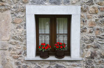 Residential housing with flowers in windows in Cangas de Oni... von Danita Delimont