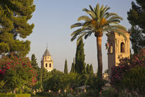 Europe, Spain, Granada, Alhambra by Danita Delimont