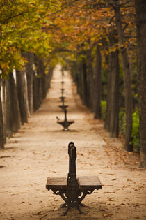 Spain, Madrid, Parque del Buen Retiro park, fall foliage by Danita Delimont