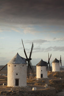 Spain, Castile-La Mancha Region, Toledo Province, La Mancha ... by Danita Delimont