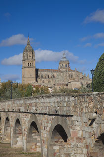Spain, Castilla y Leon Region, Salamanca Province, Salamanca... by Danita Delimont