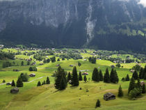 Switzerland, Bern Canton, Grindelwald, Alpine farming community by Danita Delimont