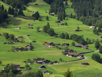 Switzerland, Bern Canton, Grindelwald, Apline farming community by Danita Delimont