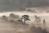 Misty autumn morning, Uley, Gloucestershire, UK by Danita Delimont