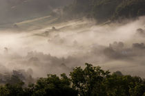 Morning mist, Gloucestershire by Danita Delimont
