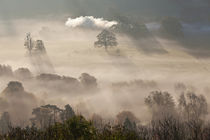 Misty autumn morning, Uley, Gloucestershire, England, UK by Danita Delimont